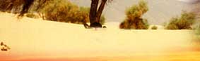 Sahel